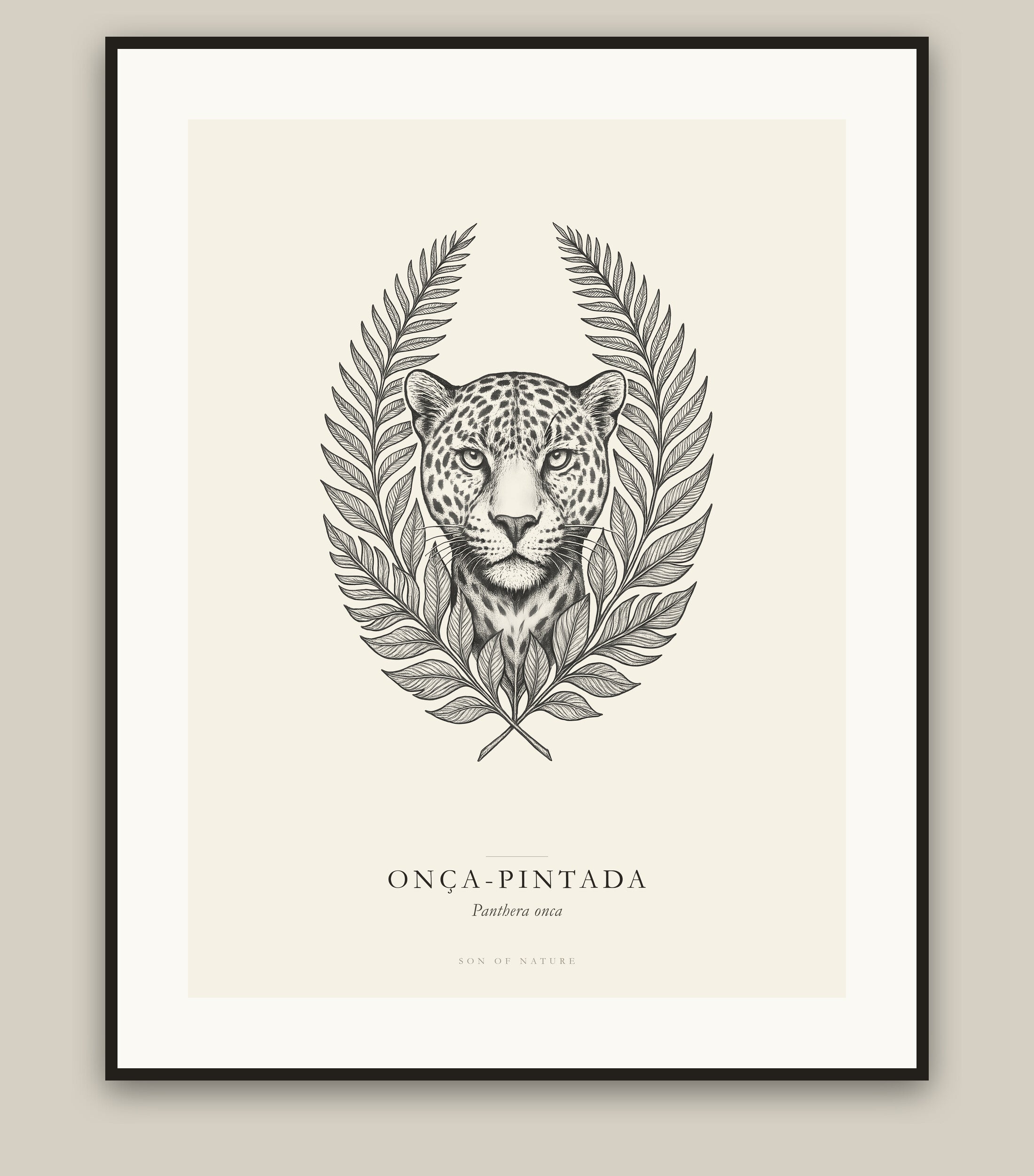 Jaguar fine art print in a black frame, field-guide plate of Panthera onca