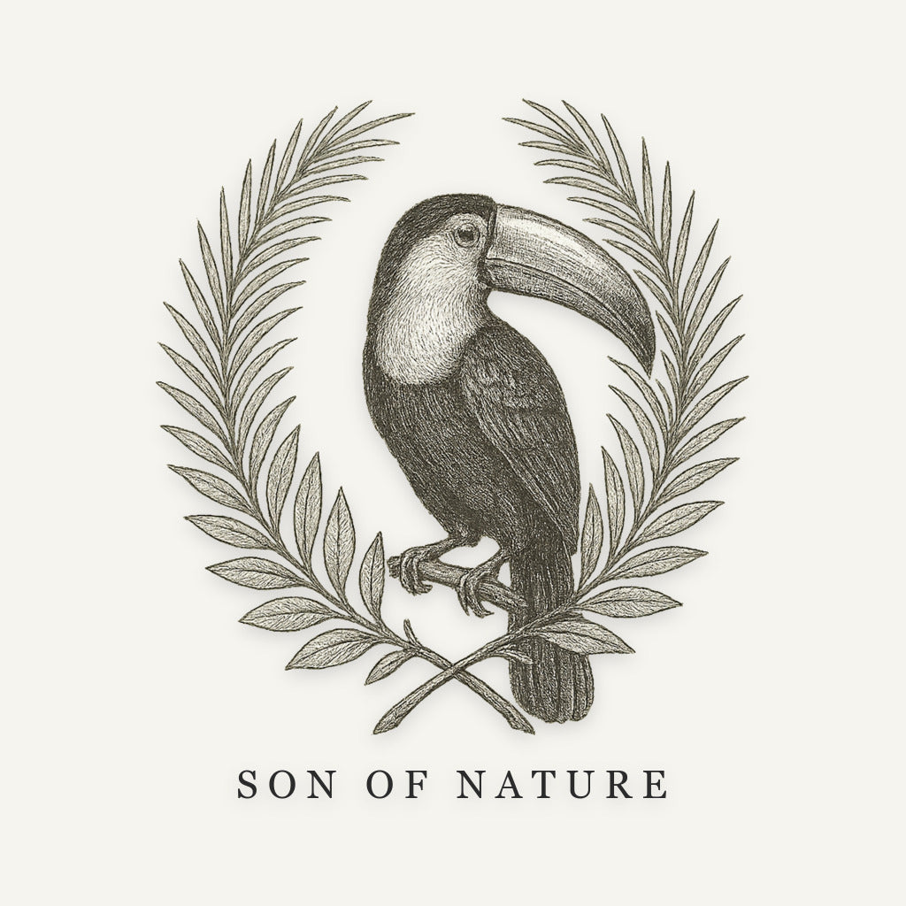 Toucan Sticker, Son of Nature transparent sticker