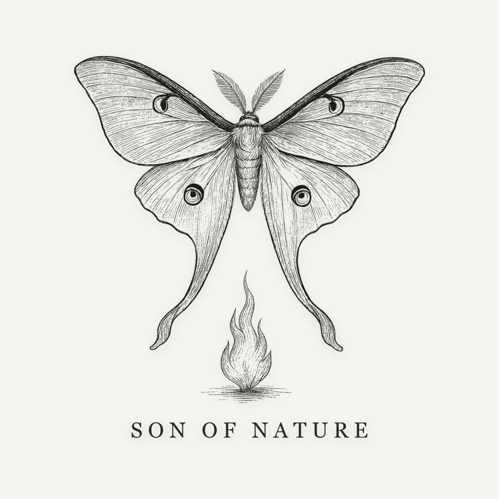 Luna Moth Sticker, Son of Nature transparent sticker