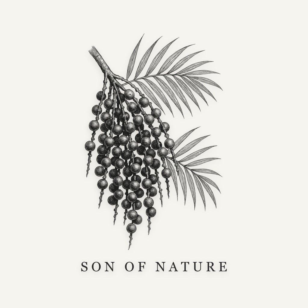 Açaí Sticker, Son of Nature transparent sticker