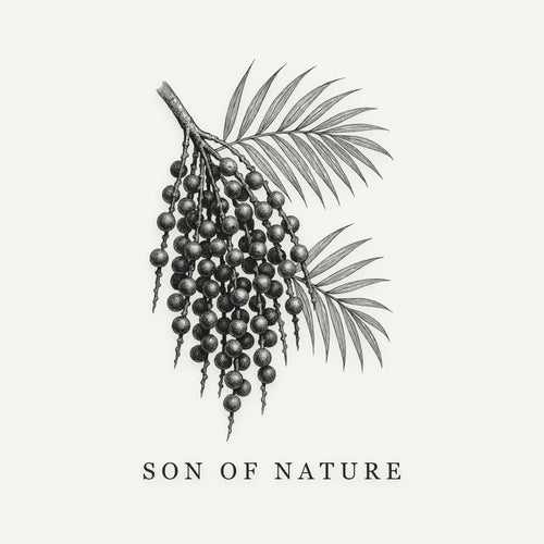Açaí Sticker, Son of Nature transparent sticker