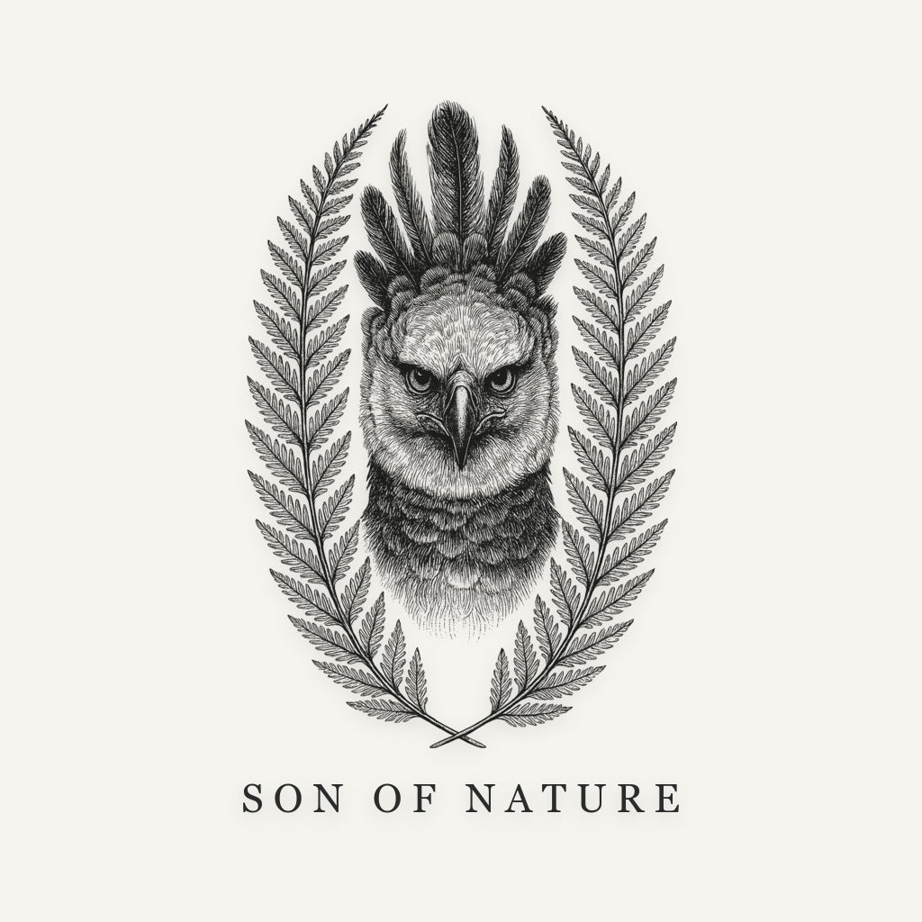 Harpy Eagle Sticker, Son of Nature transparent sticker