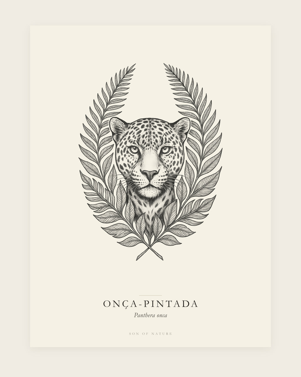 Jaguar fine art print, unframed, field-guide plate of Panthera onca