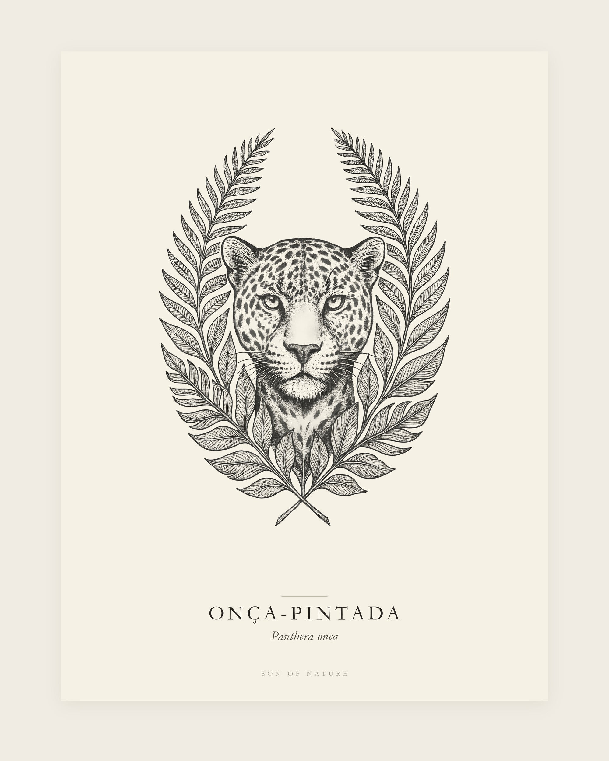 Jaguar fine art print, unframed, field-guide plate of Panthera onca